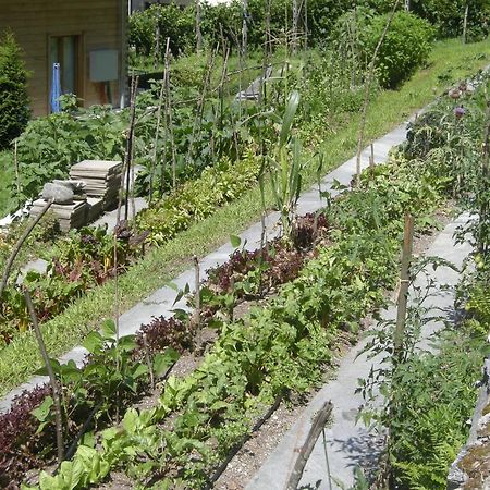 Eco-Hotel Cristallina Coglio Buitenkant foto