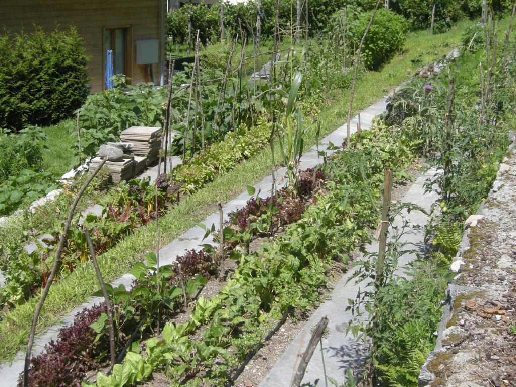 Eco-Hotel Cristallina Coglio Buitenkant foto