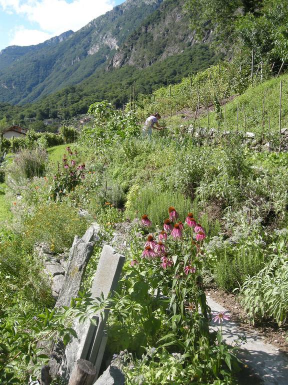 Eco-Hotel Cristallina Coglio Buitenkant foto